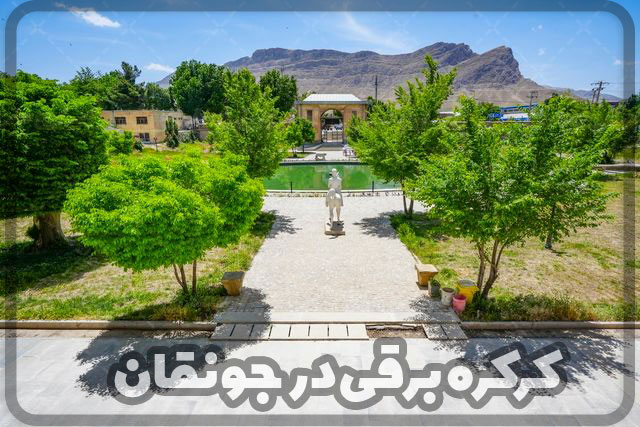کرکره برقی در جونقان